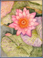 “Water Lily Splendor,” by Joyce Lee.