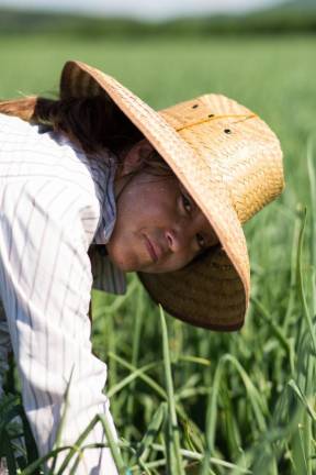 Jessica, 32, harvesting onions in the Black Dirt Region of New York. (Photo by Jose Lima)