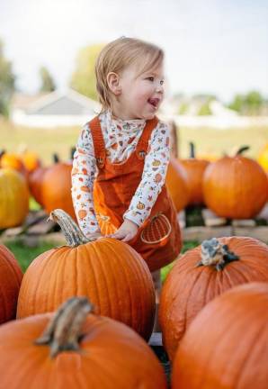 Port Jervis harvest festival happening Oct. 12