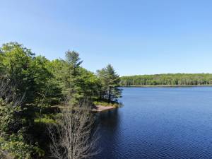 Boehmler Pond.