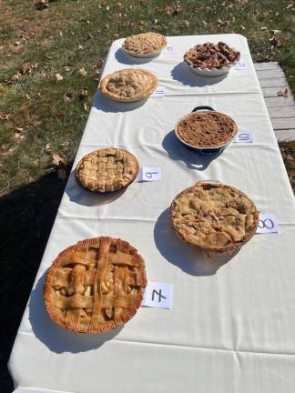 The seven pies that were judged on several metrics.