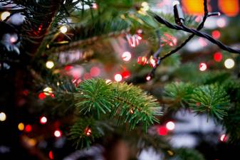 Delaware Township to hold tree lighting ceremony