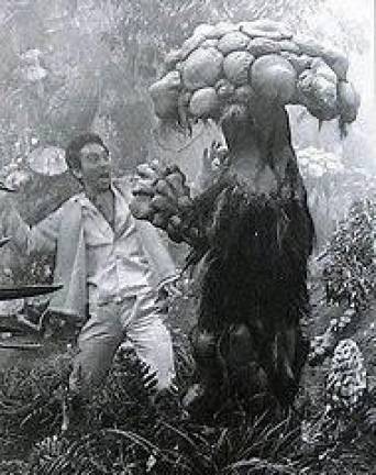 A scene from Matango – Attack of the Mushroom People.”