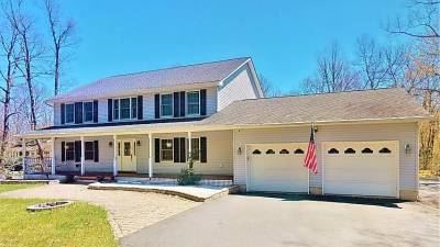 Modern four-bedroom colonial has room to roam