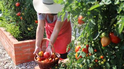 Enrollment now open for Rutgers Gardening Education Series