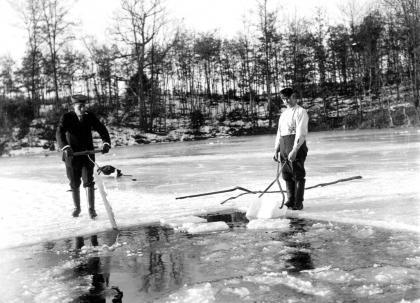 $!Ice cutting Christmas Day, 1910.