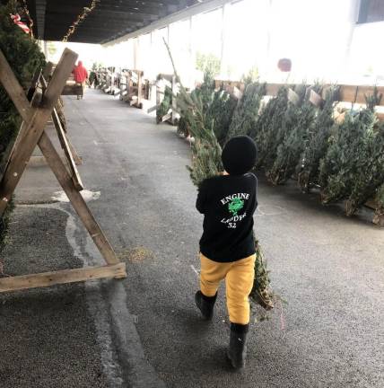 The trees have arrived!