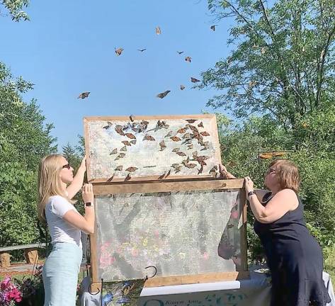 Hospice butterfly release celebration set to soar