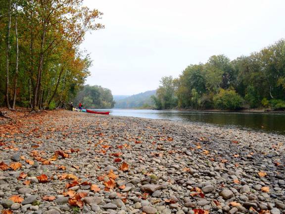 The shore of the Delaware River.