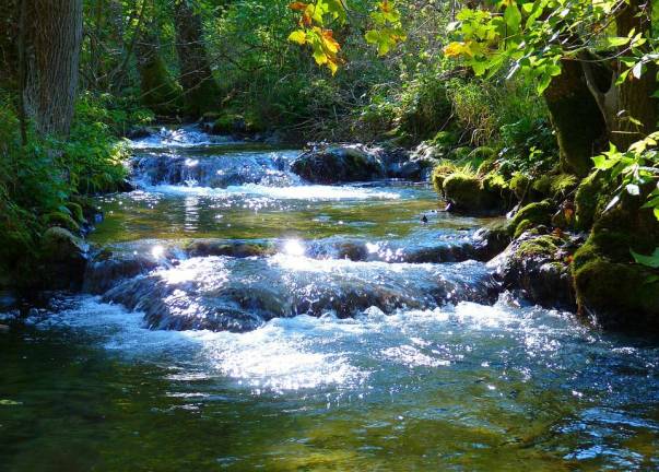 Microplastics study to focus on Pike County waters