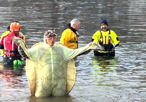 Chip Estenes, dressed as a loggerhead sea turtle, takes the plunge for the sixth year in a row.