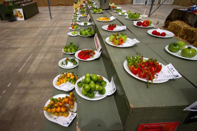 Entries from the 2019 Vegetable Show.