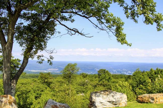 <b>High Point State Park, Sussex, NJ. Photo by Sammie Finch</b>