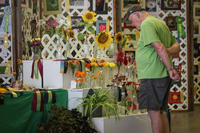 A sampling from the 2019 Amateur Horticulture exhibit.