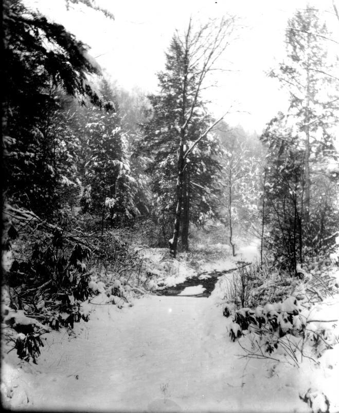 $!A stream near Silver Lake in winter.