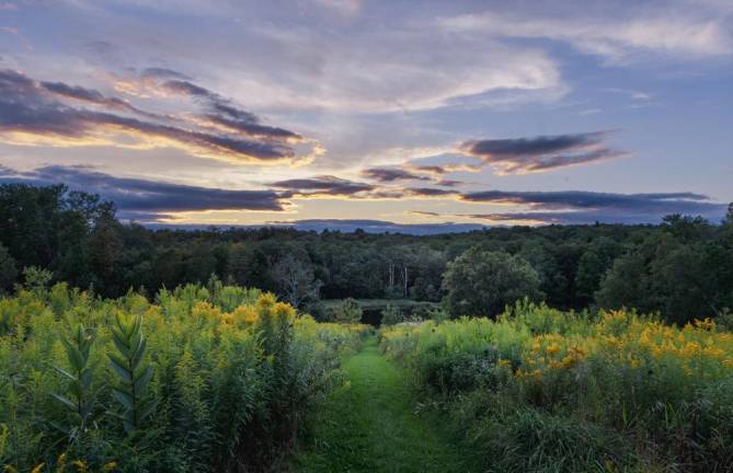 A photo of Van Scott Nature Reserve, taken by Claire Shickora.