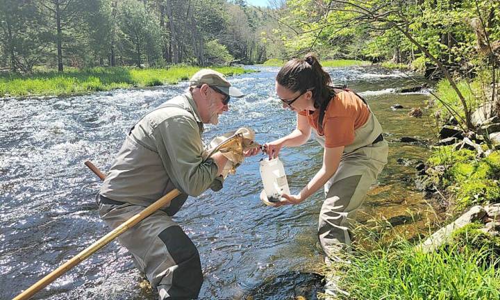 Stream health report in Pike County just out