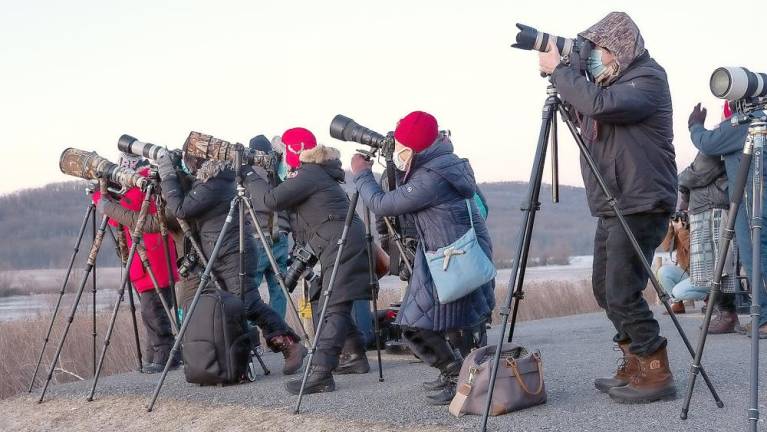 Photographers form a line, eager to capture the mass takeoff of snow geese at Pennsylvania’s Middle Creek Wildlife Management Area. (Bay Journal photo by Dave Harp)