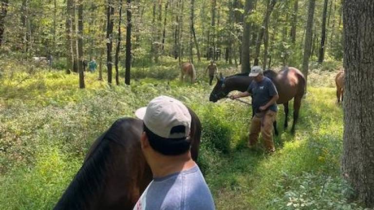 The program includes horsemanship activities and a shared community meal.